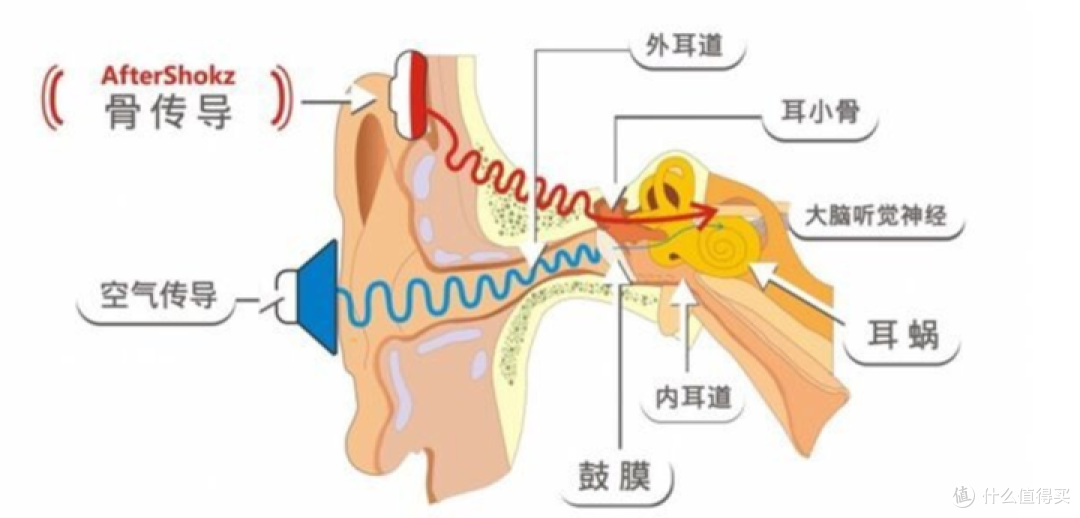 骨传导耳机值得买吗/适合什么人群/如何选,真无线骨传导耳机earsopen骨聆SS900使用测评
