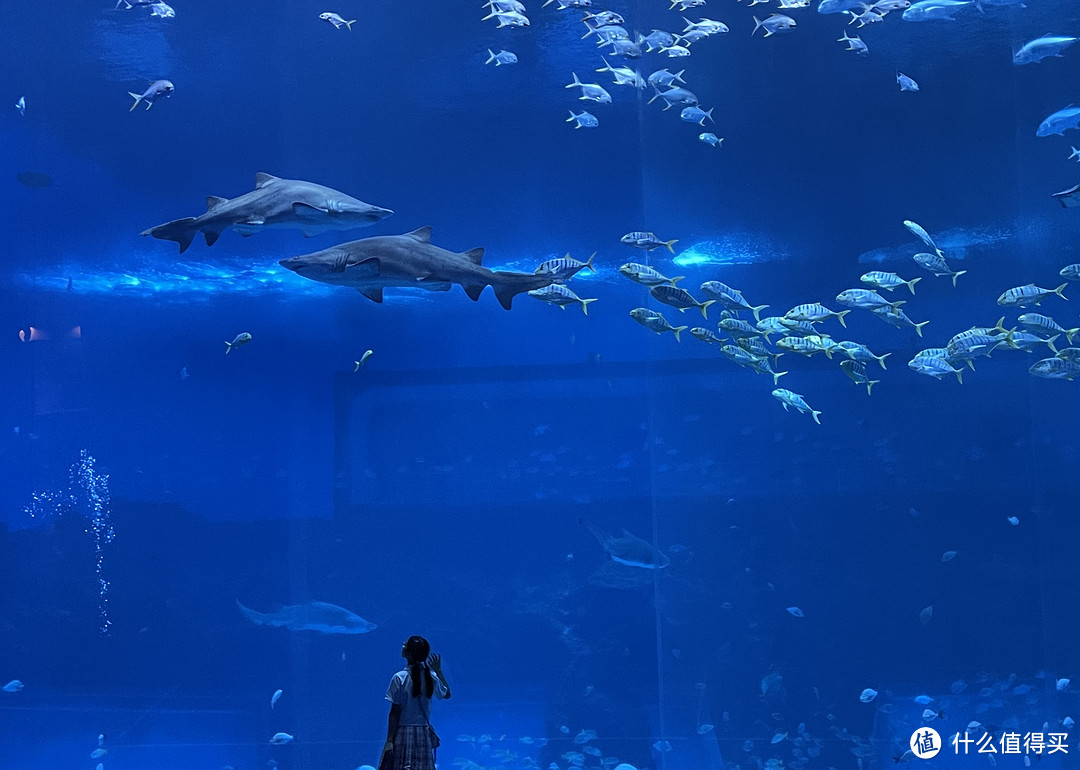 12米深的大水族馆