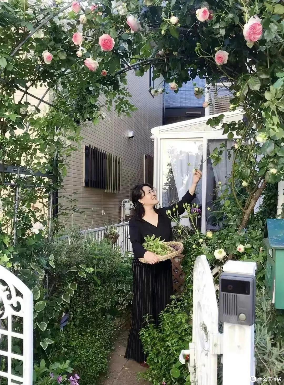 发现一太太的日本“玫瑰花小院”,那叫一个“浪漫”,晒晒