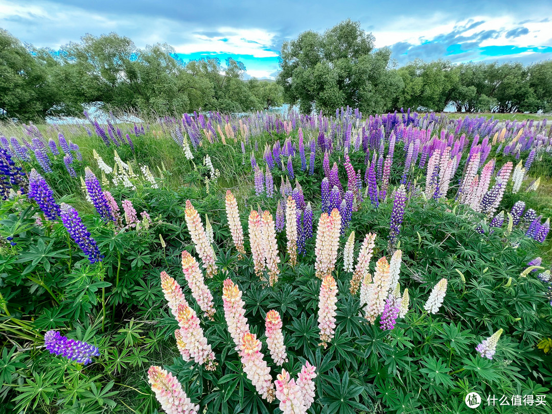 绝美风光的Lake Tekapo