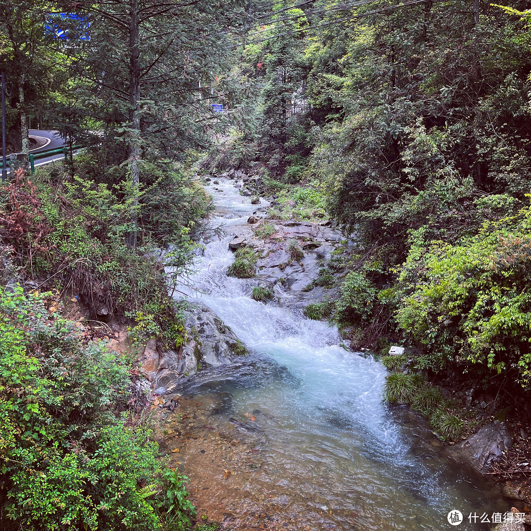 雾闯龙泉山，夜探时思寺，丽水不愧浙江山路骑行天花板！