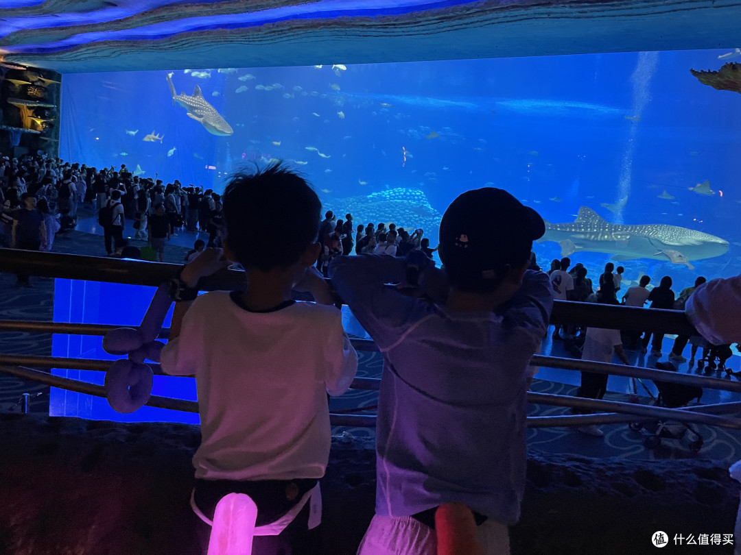 五一出游:来认识长隆的明星动物们