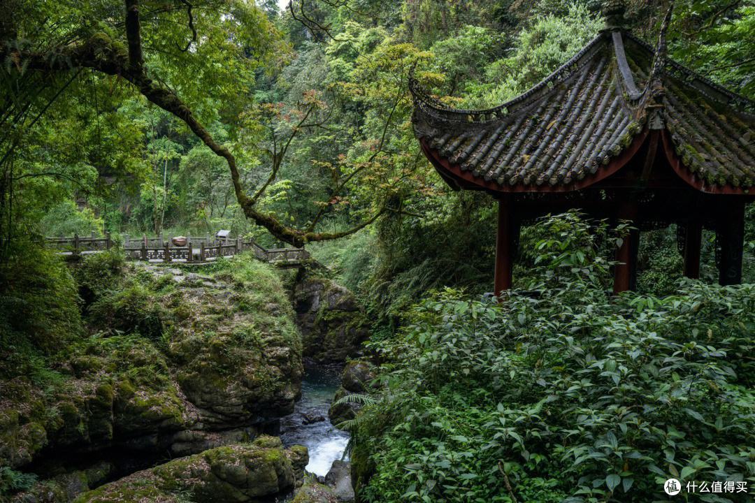 夏天去峨眉山旅游是什么样的体验?
