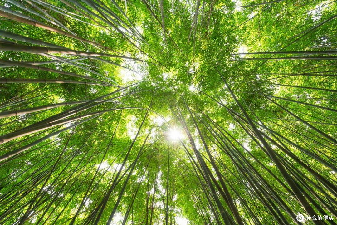 今天立夏,老传统讲:立夏做5事,健康长寿,福气自来!具体指哪5件事?有什么说法?