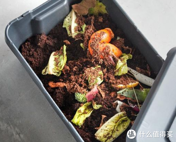 3种厨余垃圾别扔，简单处理一下，用来养花，比肥料都好用