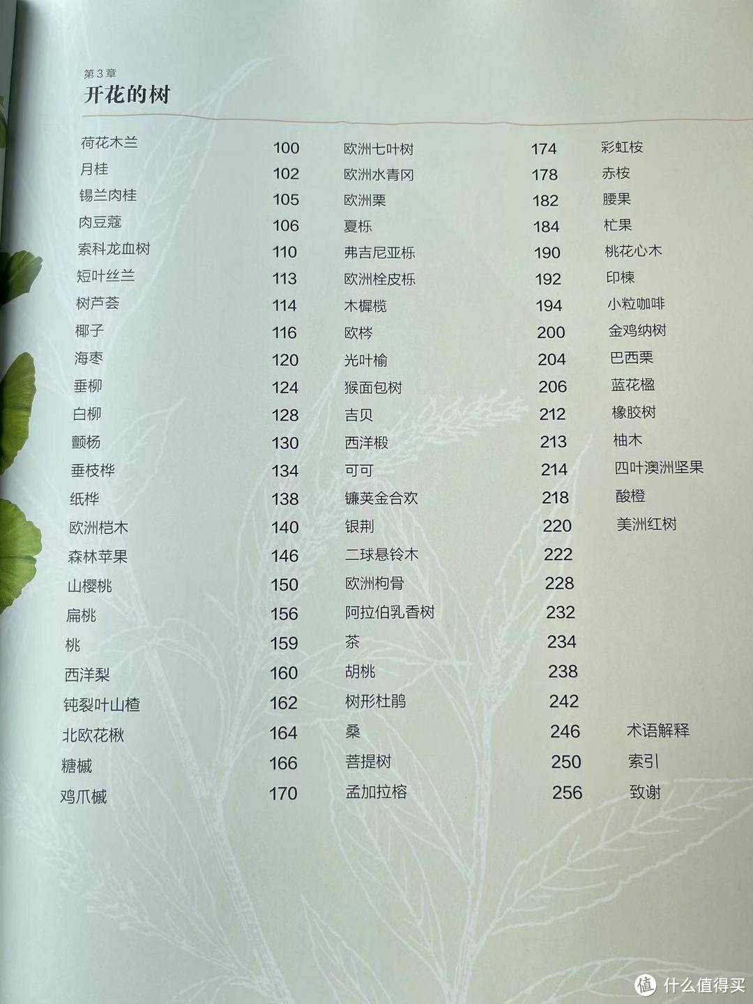 3.开花的树