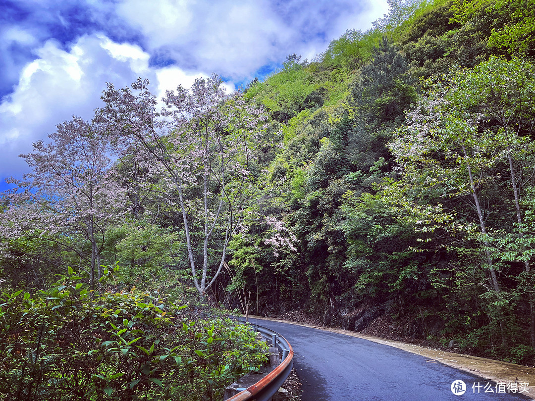 雾闯龙泉山，夜探时思寺，丽水不愧浙江山路骑行天花板！