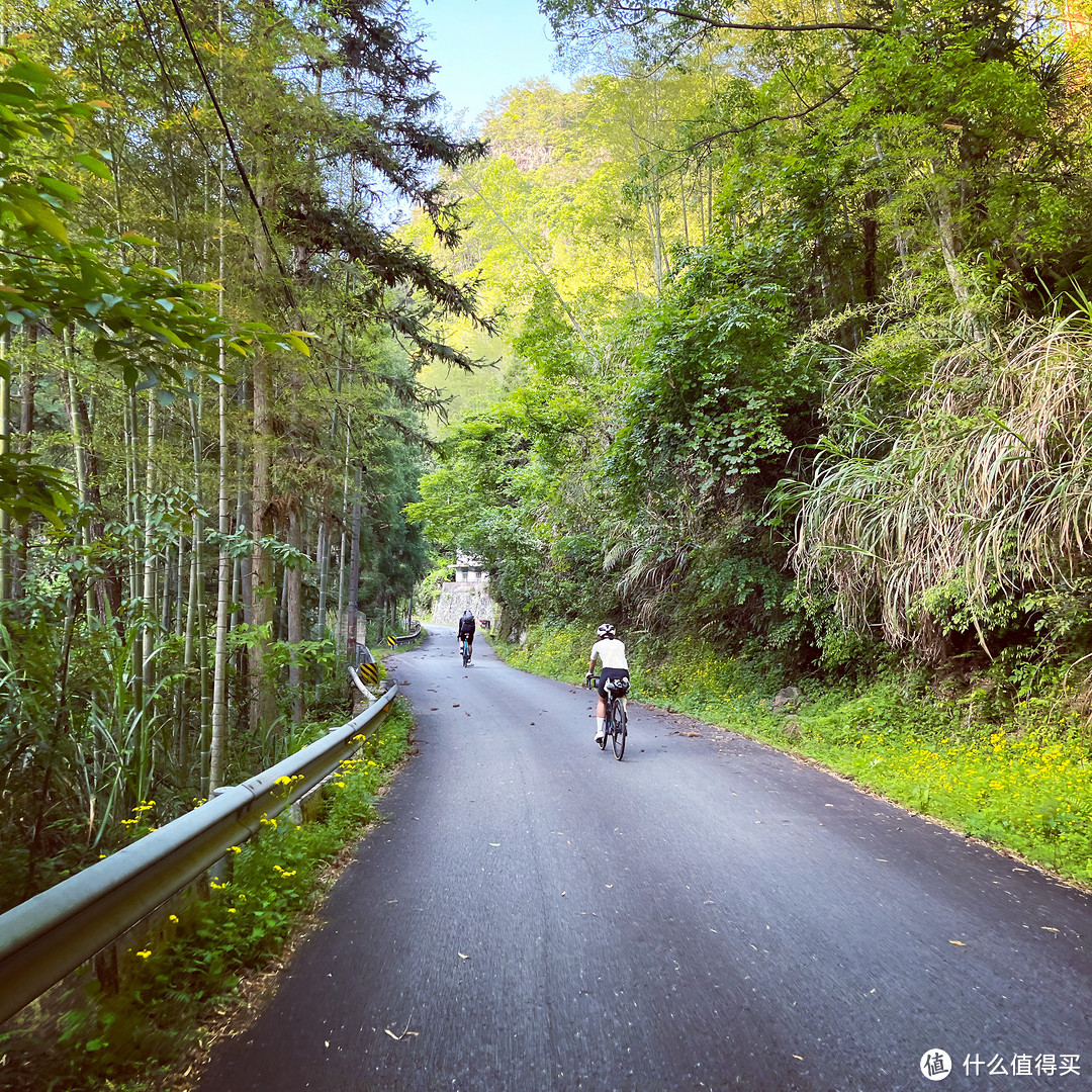 雾闯龙泉山，夜探时思寺，丽水不愧浙江山路骑行天花板！