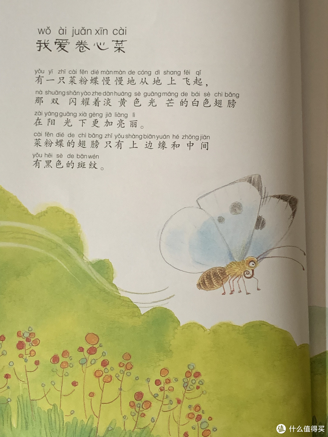 儿童急走追黄蝶，飞入菜花无处寻-小评法《法布尔昆虫记（儿童彩图版）》