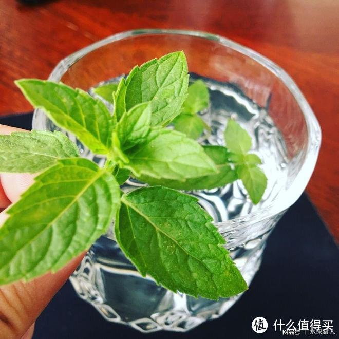 六款夏季水果茶，今年夏天自己在家DIY养生水果茶吧~