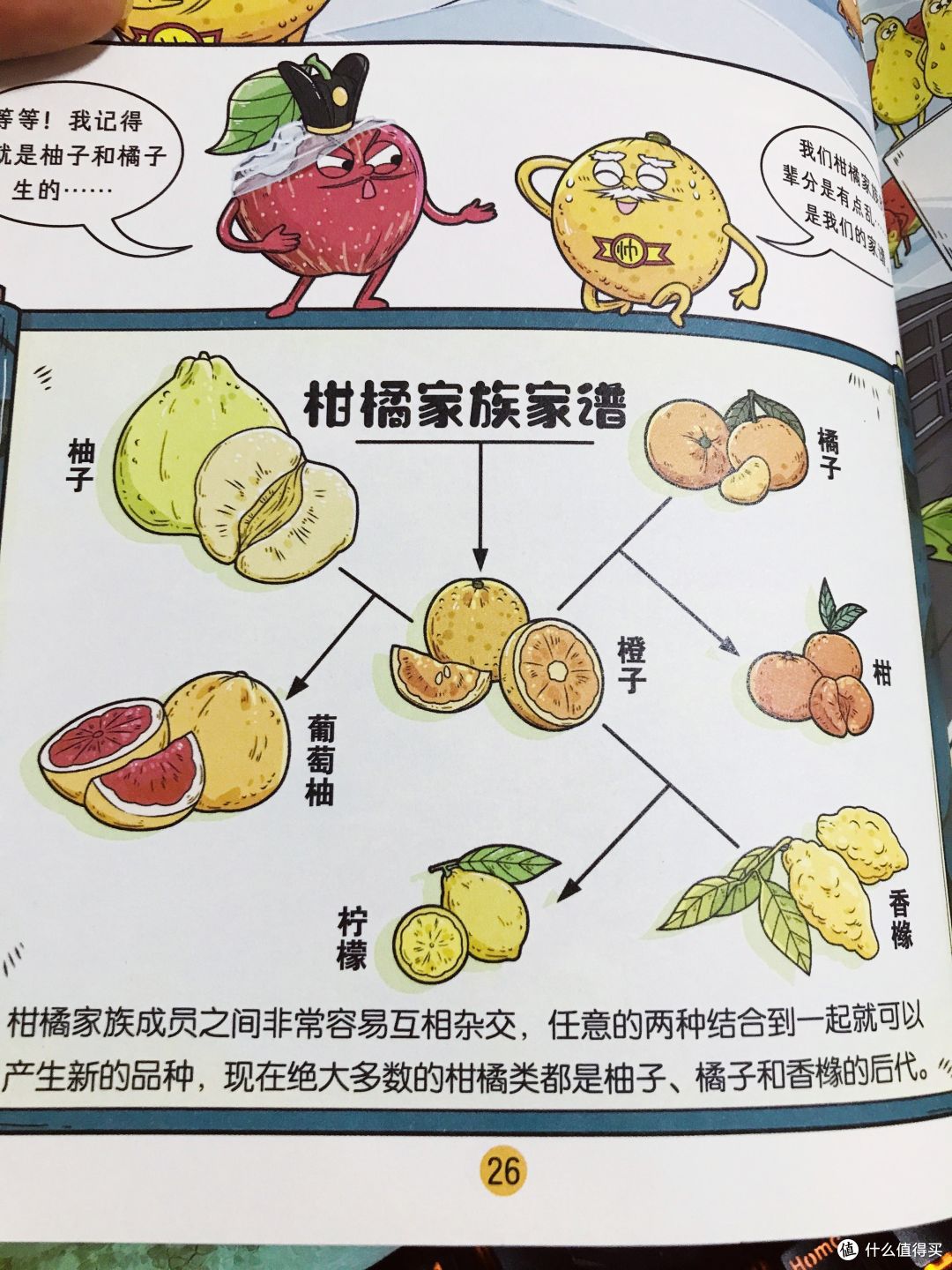 《这就是科学》:如果不看它,都不知道柑橘家族的不堪往事