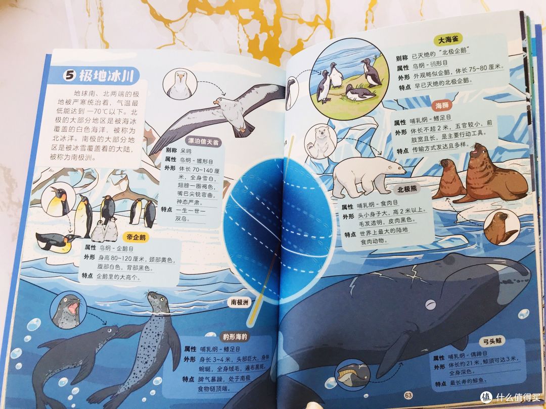 《这就是科学》:如果不看它,都不知道柑橘家族的不堪往事