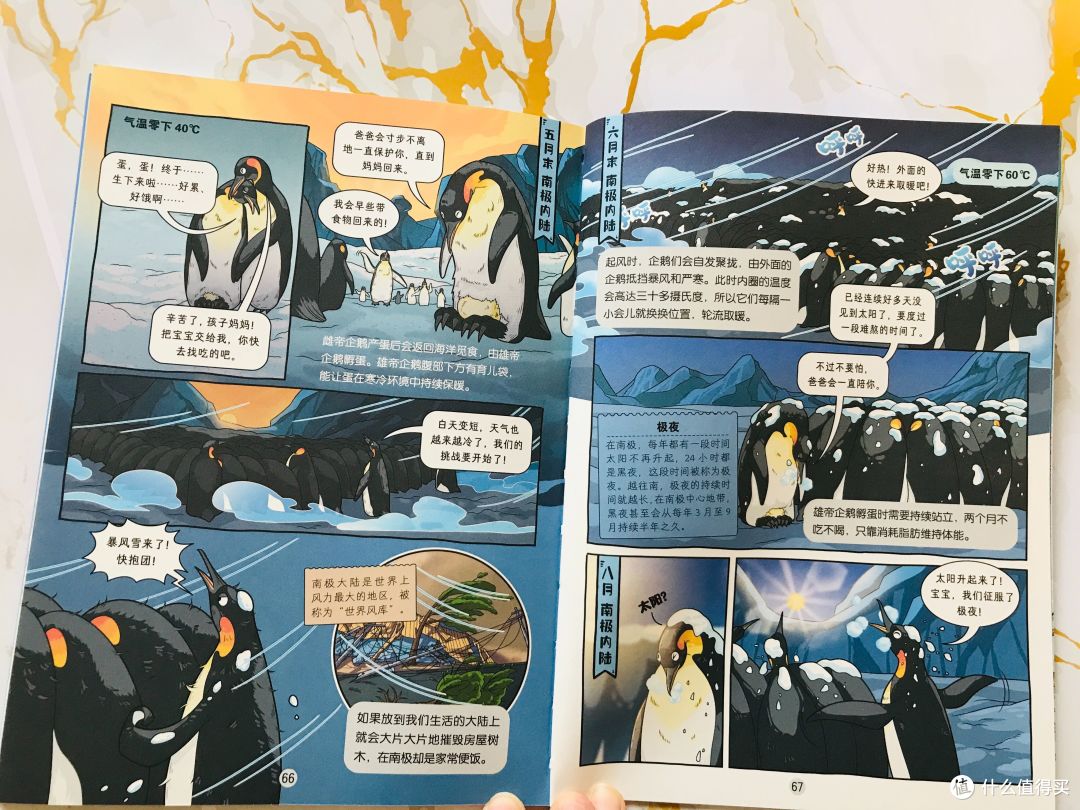 《这就是科学》:如果不看它,都不知道柑橘家族的不堪往事