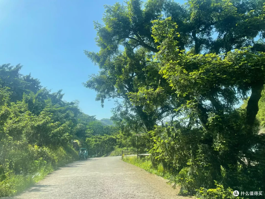 周末跑山计划,五一躲避人流,香榧公路跑一跑