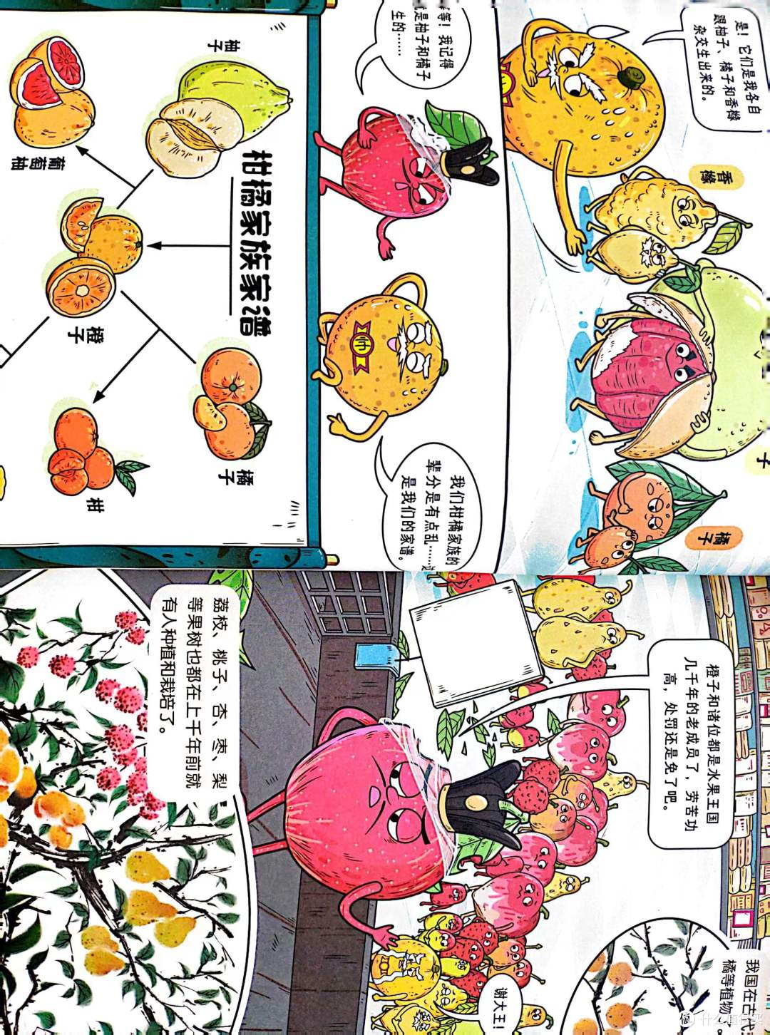 《这就是科学——藏在身边的博物世界》——让孩子爱上阅读!