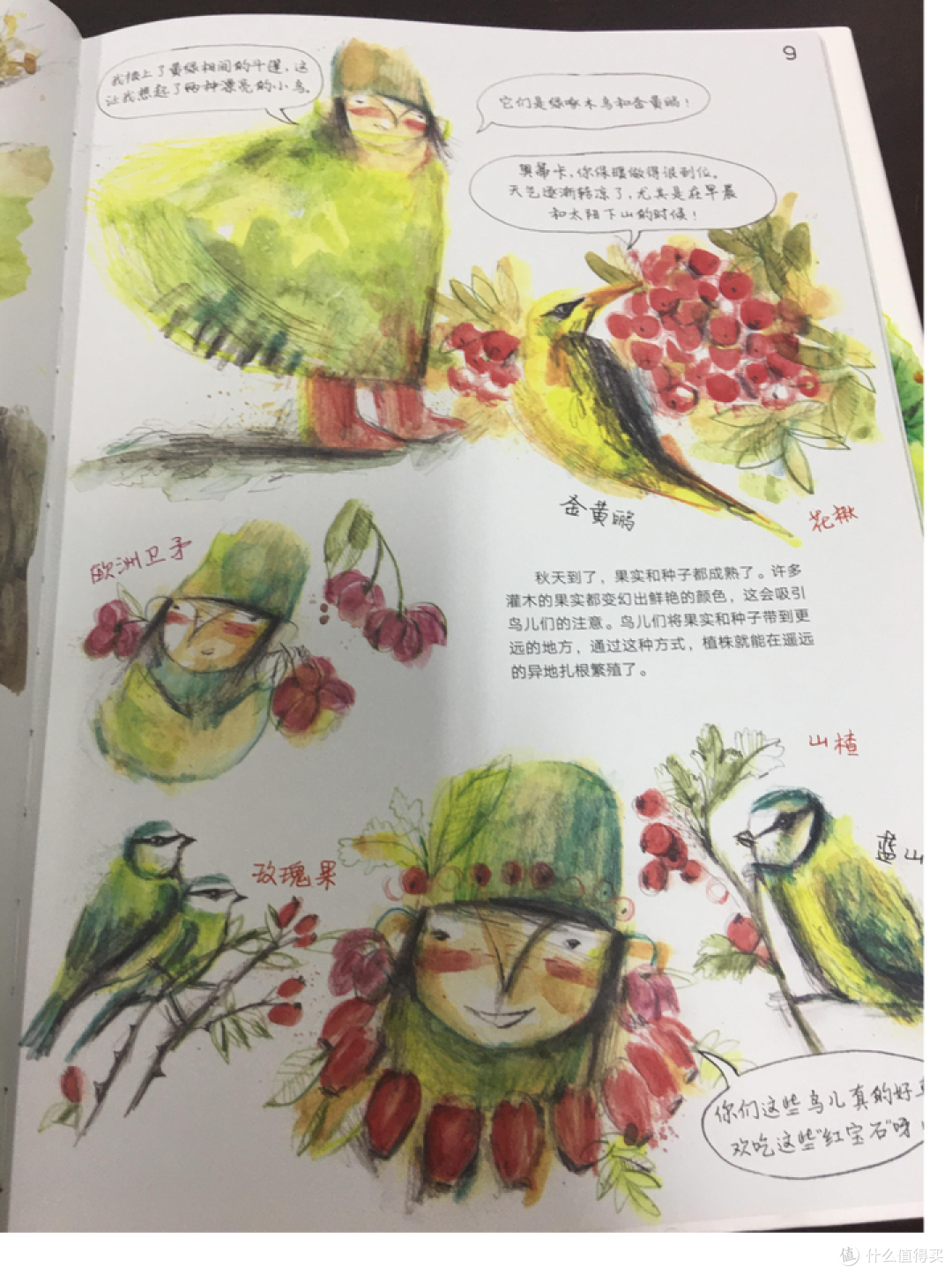 柚子荐书 | 灵动又诗意的自然教育绘本《丛林里的四季》