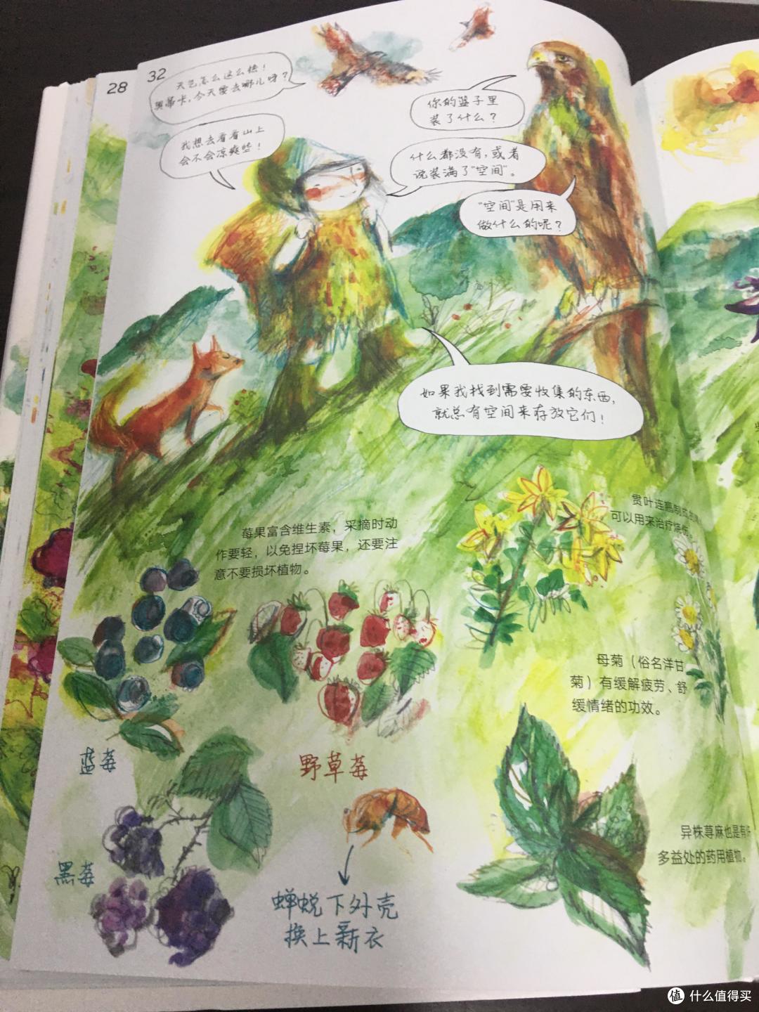 柚子荐书 | 灵动又诗意的自然教育绘本《丛林里的四季》