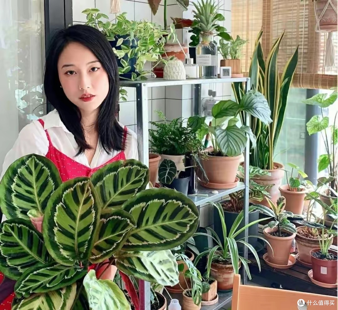 江苏90后女子,借20万块钱养花创业,没想到血本无归!看看咋回事