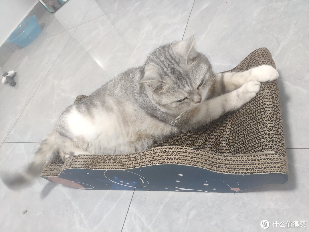 养猫人抓紧薅这个小沙发，超实用的猫抓板