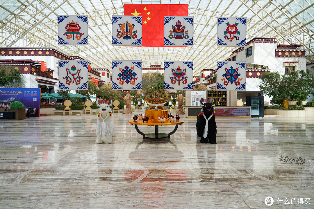 拉萨之旅最高性价比！此生必住的圣地天堂洲际大饭店 单卧套房入住体验