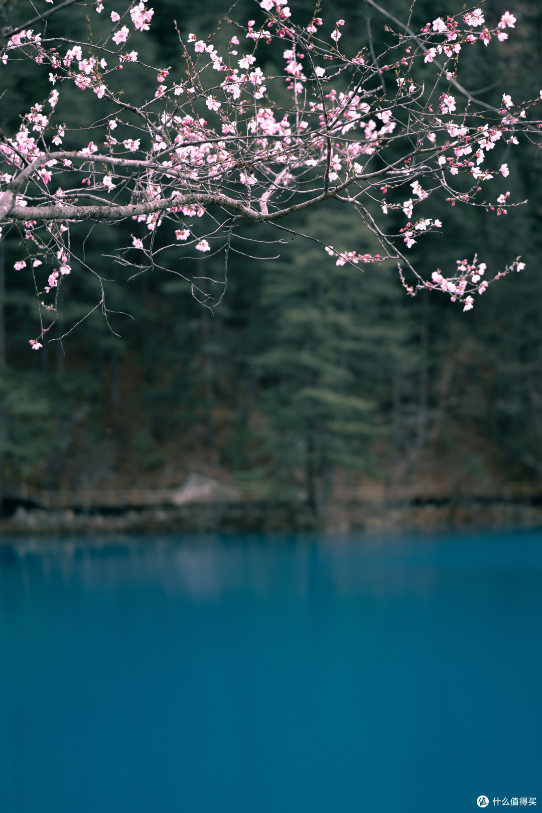 70 mm-ISO 160-1-320 秒 (f - 2.8).jpg