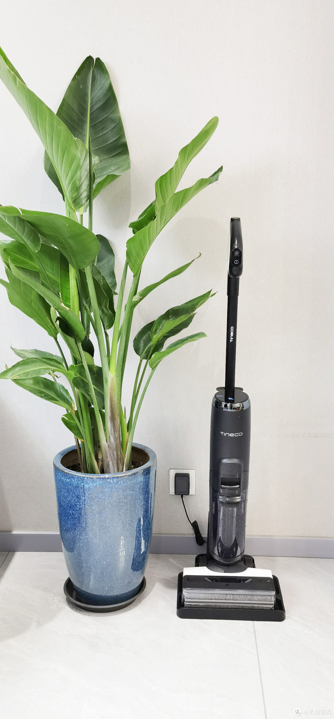 加量不加价,添可芙万2.0 Pro LED智能洗地机想要的全都给你