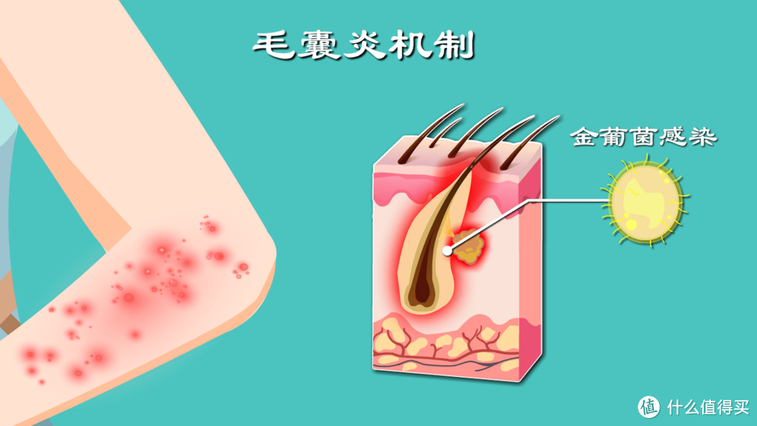 网红个护家电，好用还是智商税？实测四大爆款个护家电