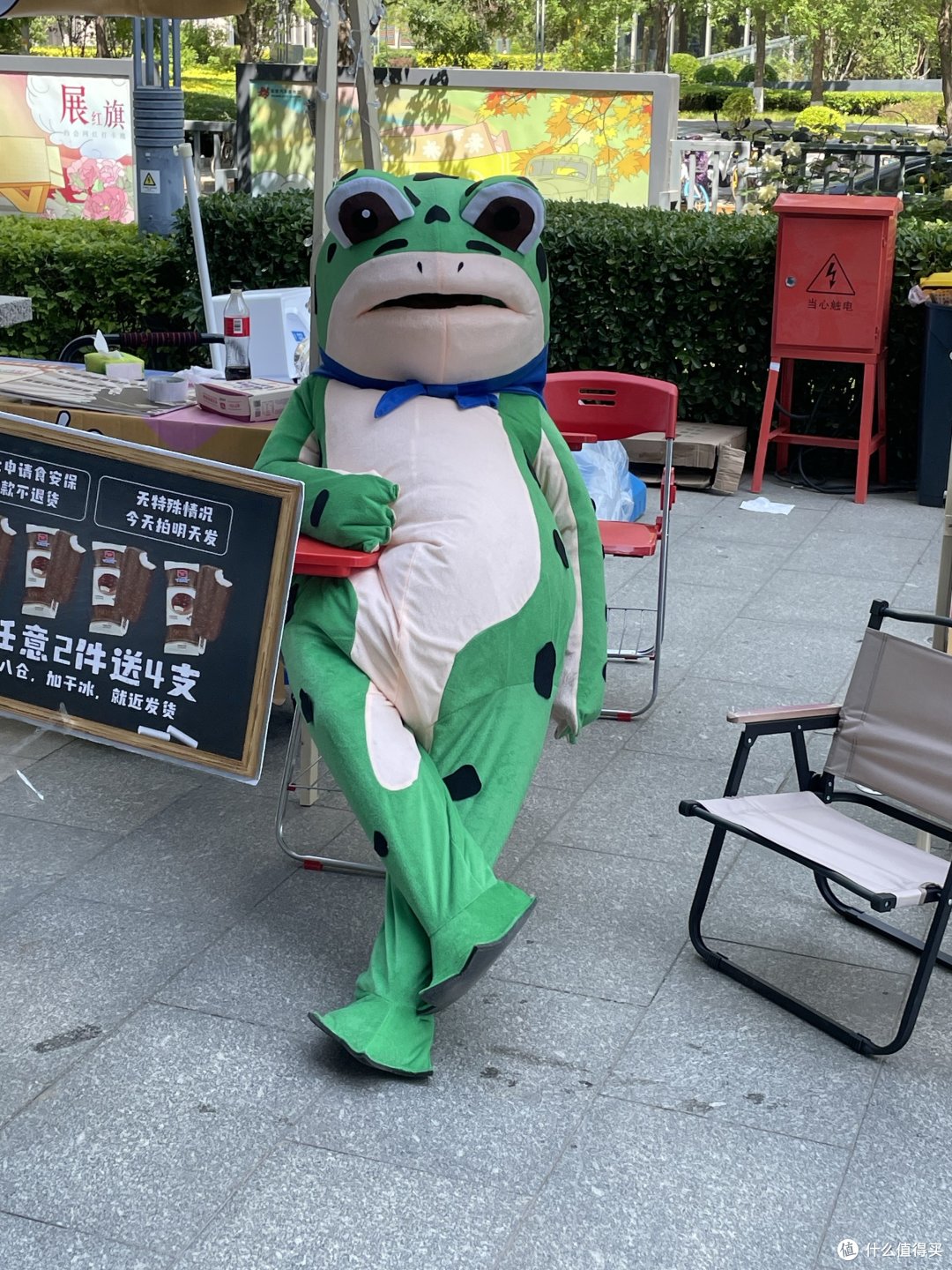 网红青蛙也来了