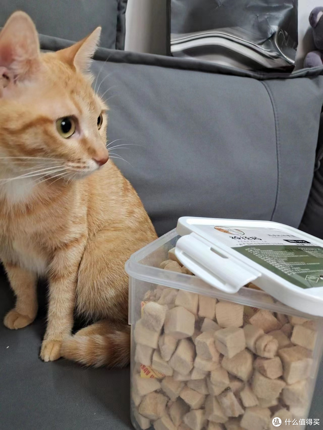 猫咪零食冻干全家桶可以喂吗？