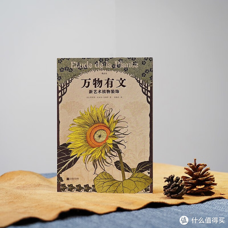 《万物有文》：一本好看又治愈的宝藏书，了解植物与艺术的邂逅！