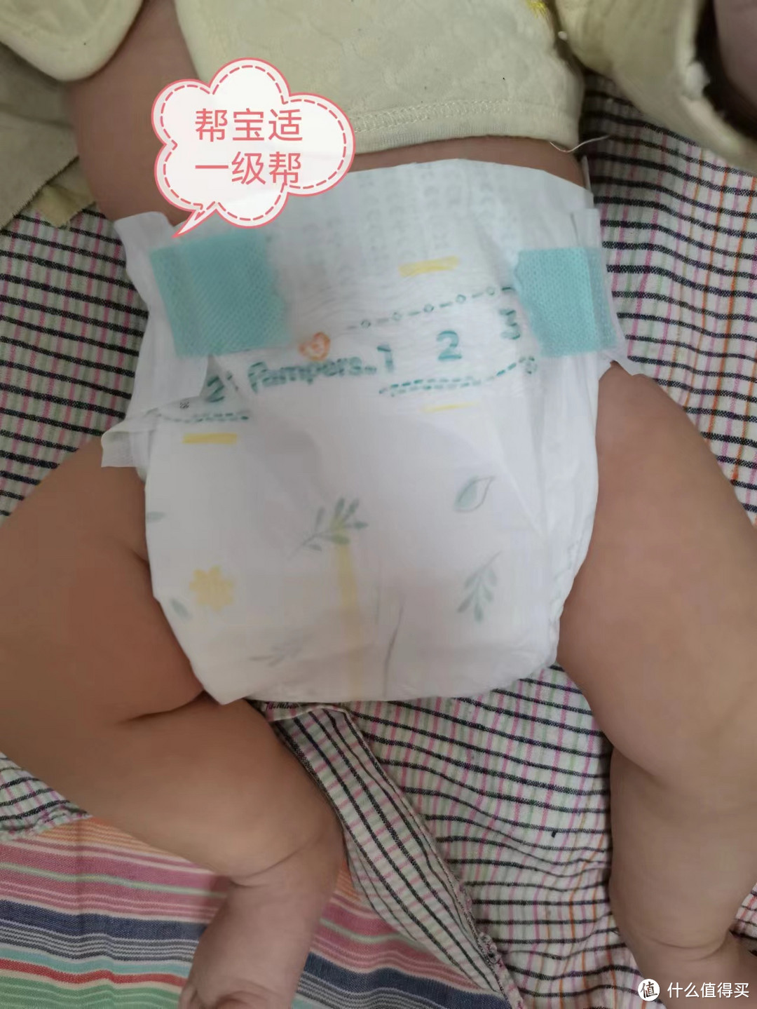 屁屁研究所!小裤裤~大比拼!