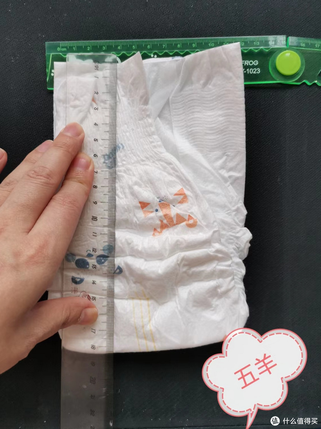 屁屁研究所!小裤裤~大比拼!