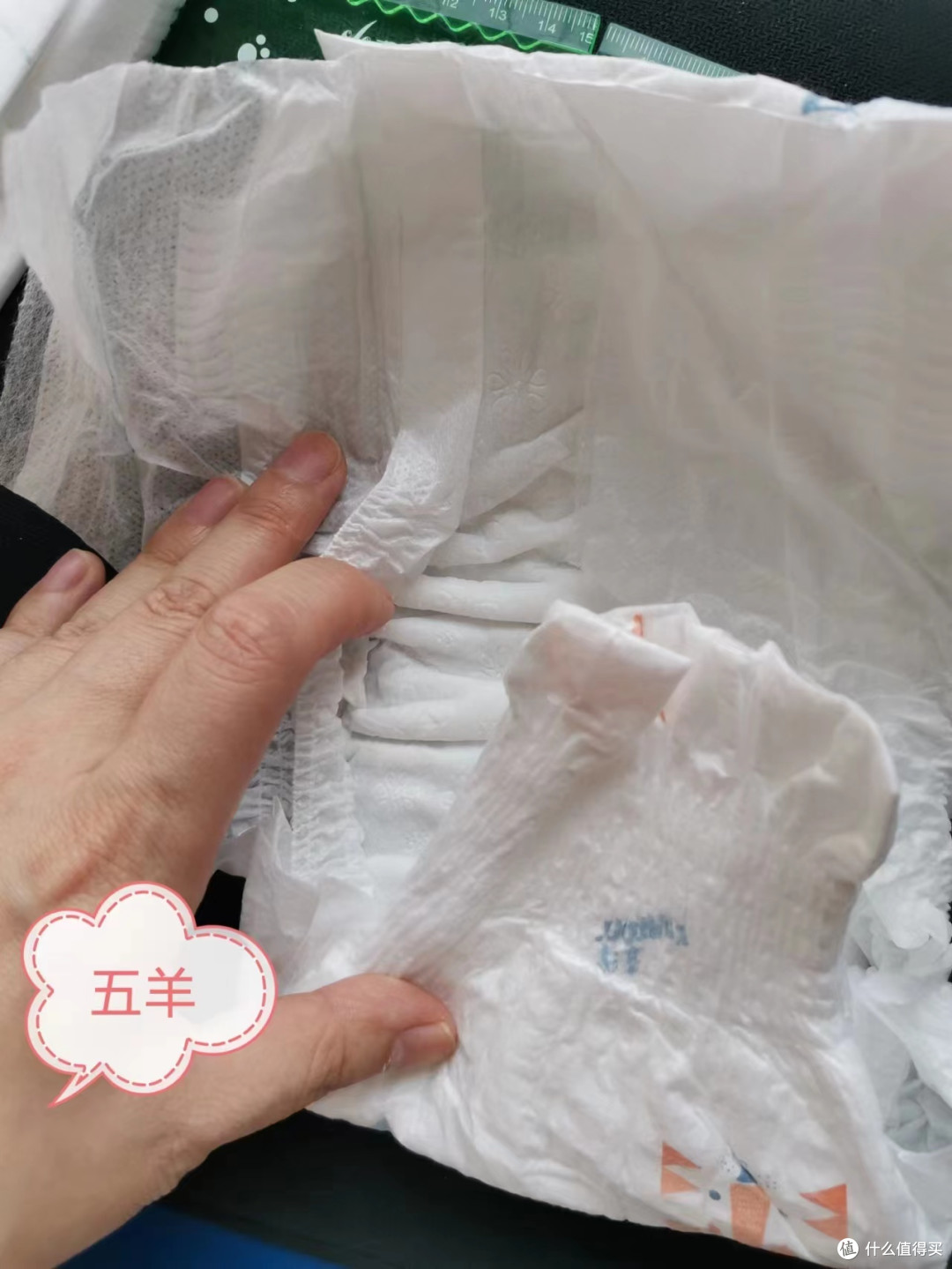 屁屁研究所!小裤裤~大比拼!