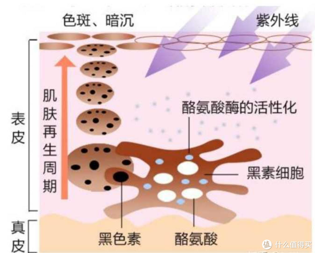 还选不对美白产品？看看这篇上手指南吧