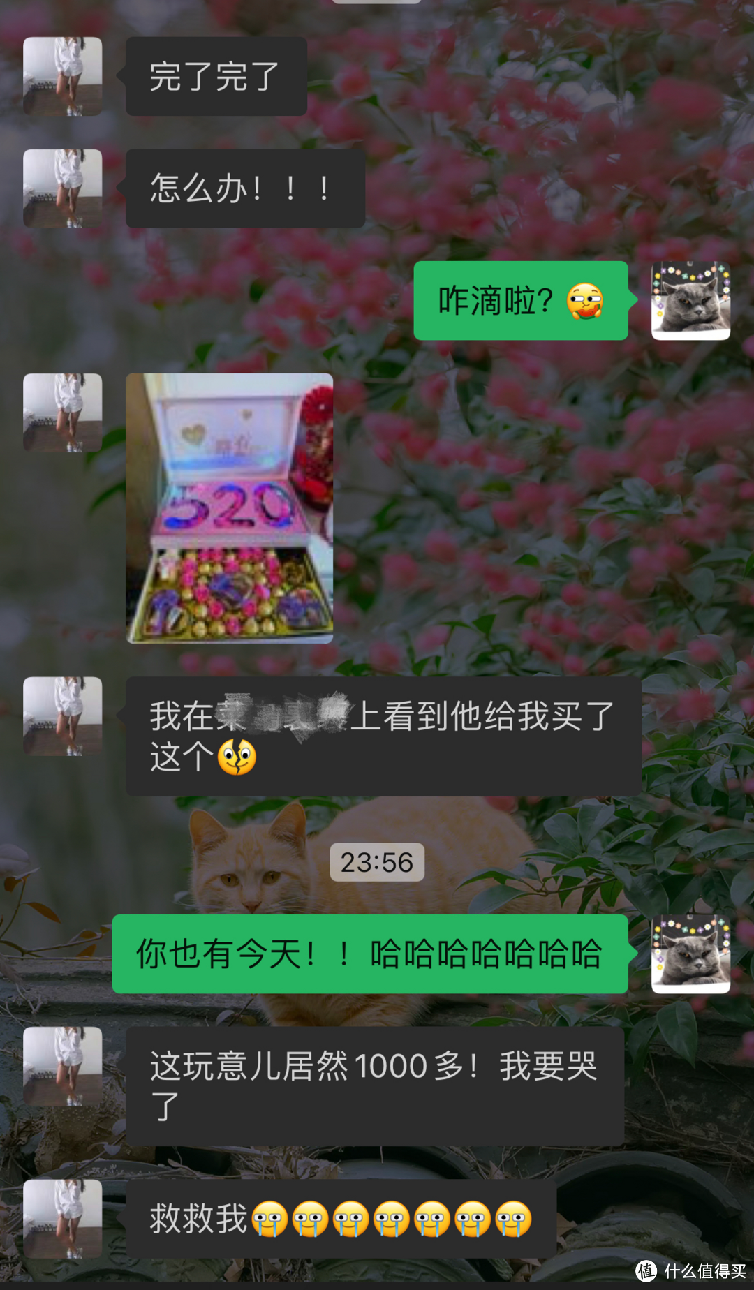 自己舍不得买，但男朋友送会笑醒！520收到富士instax拍立得礼盒简直“泰裤辣”！