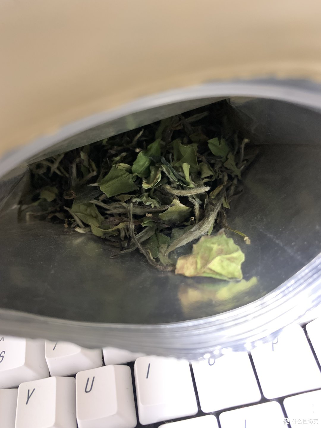 近期购入白茶品鉴（上）
