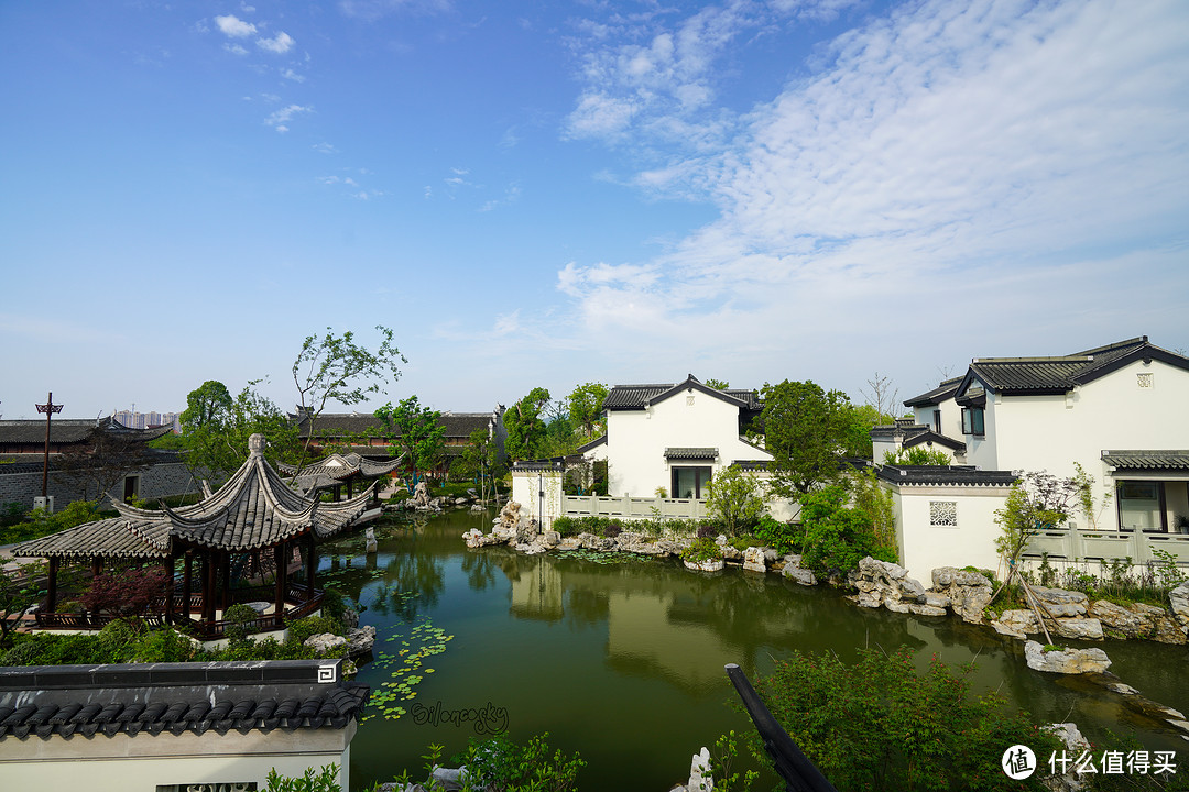 宁波余姚阳明开元观堂酒店：亲水别墅套房、早餐和中餐厅体验