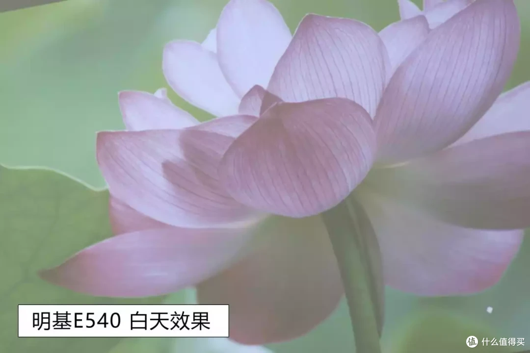 会议室如何选择显示设备,投影机和电视哪个好?不妨先看一下
