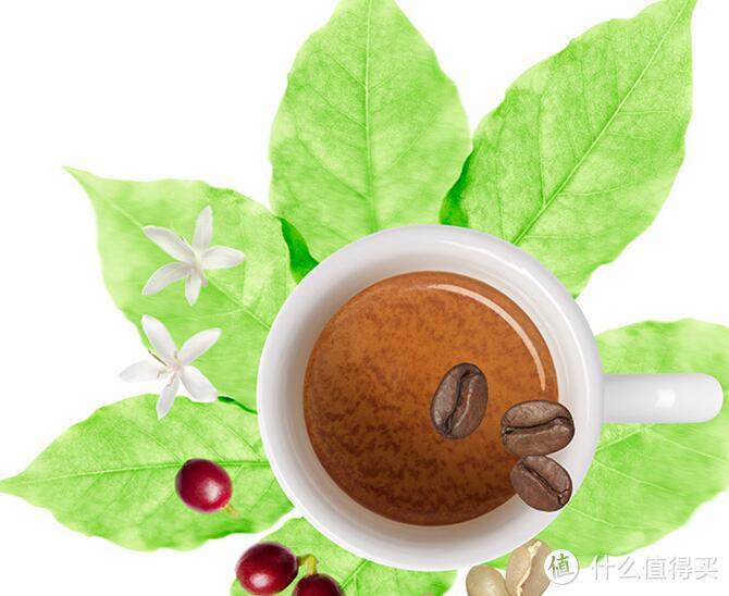 好咖啡在于精不再多，意式咖啡推荐ILLY意利咖啡豆!