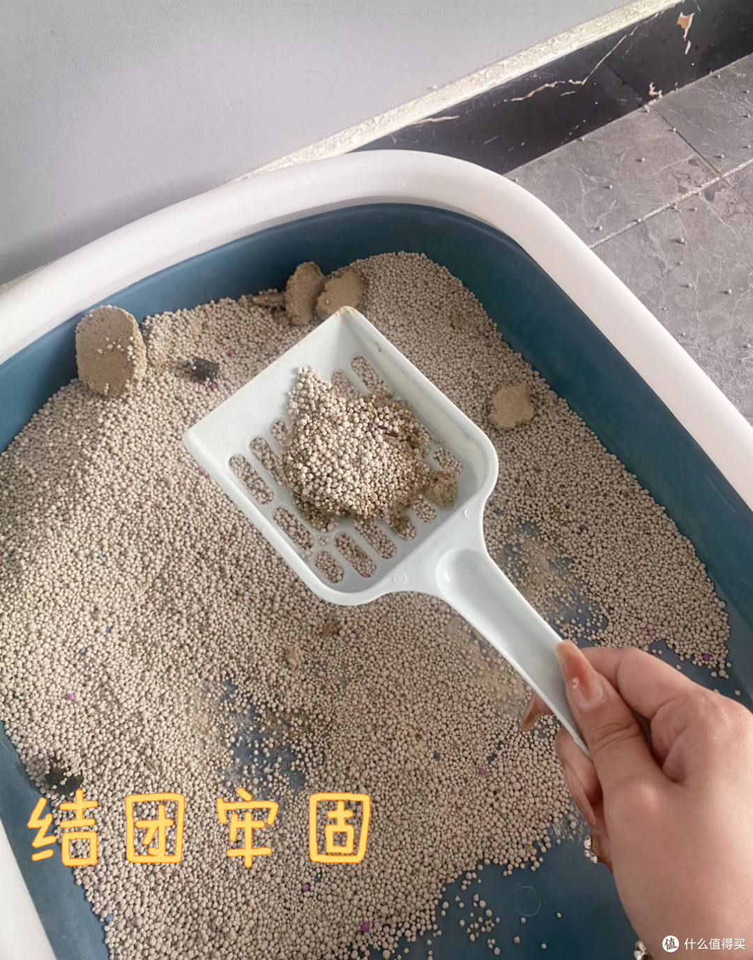 疯狂按头安利的宝藏猫砂!!实现无臭养猫~