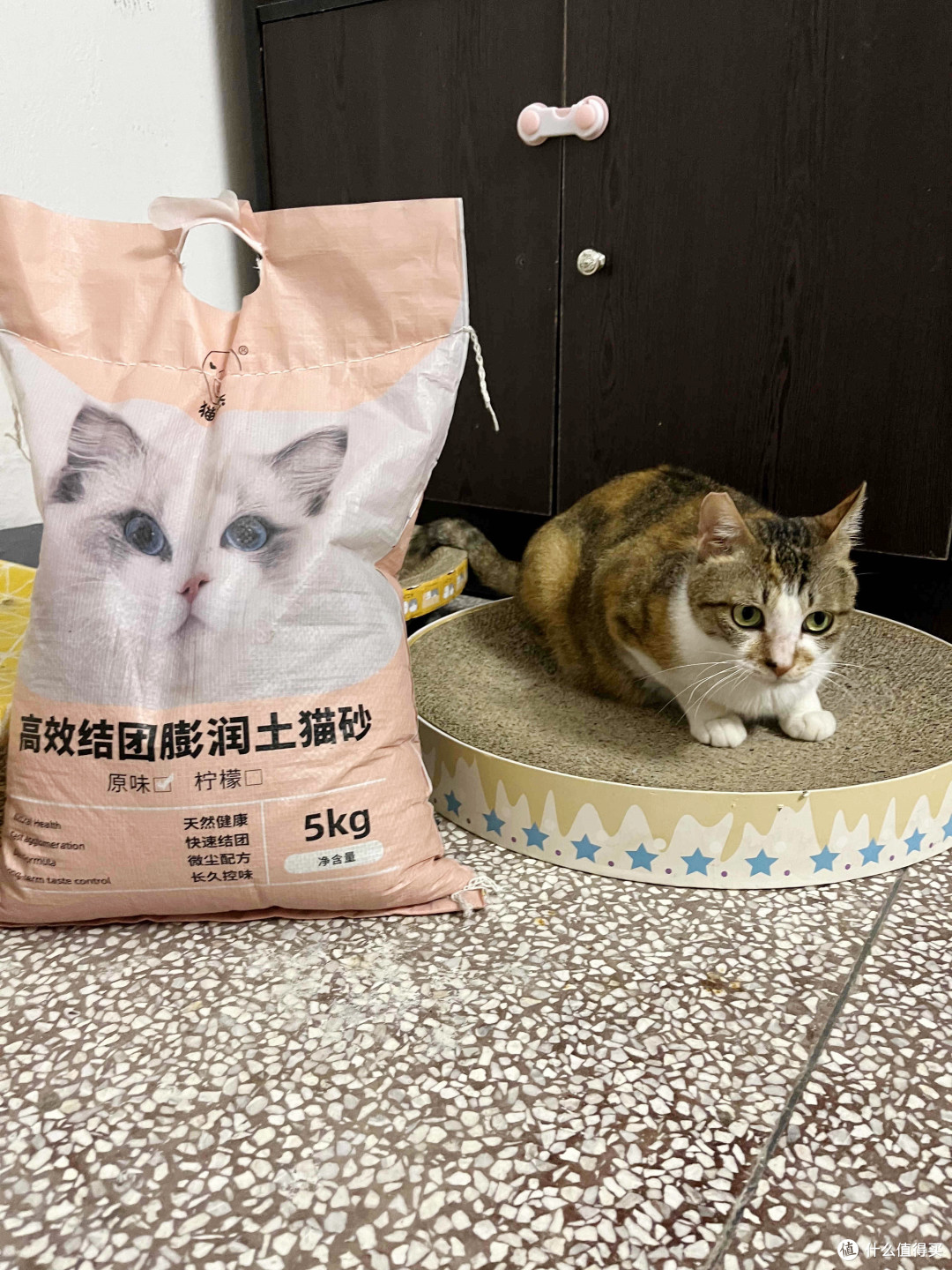 疯狂按头安利的宝藏猫砂!!实现无臭养猫~