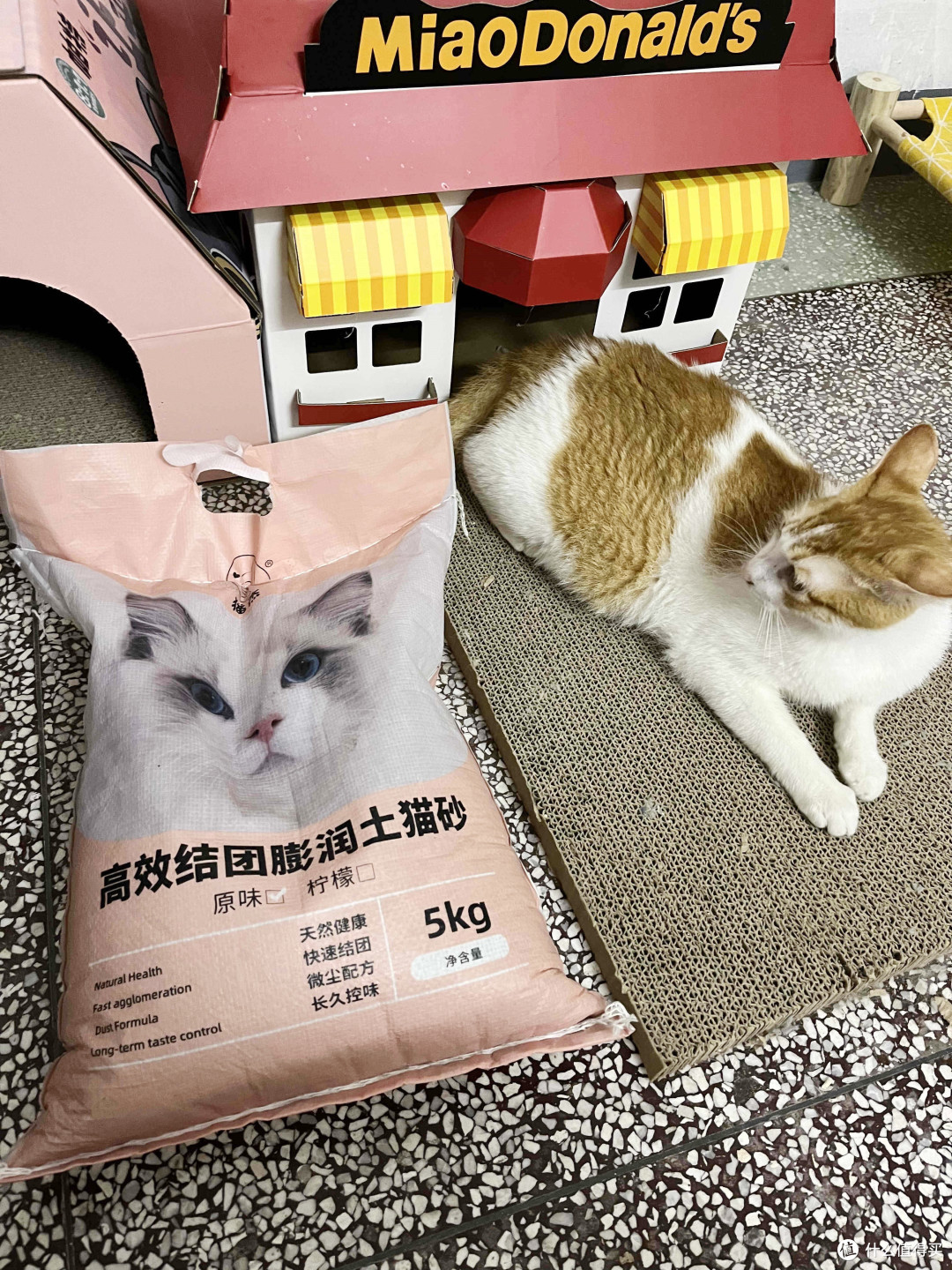 疯狂按头安利的宝藏猫砂!!实现无臭养猫~
