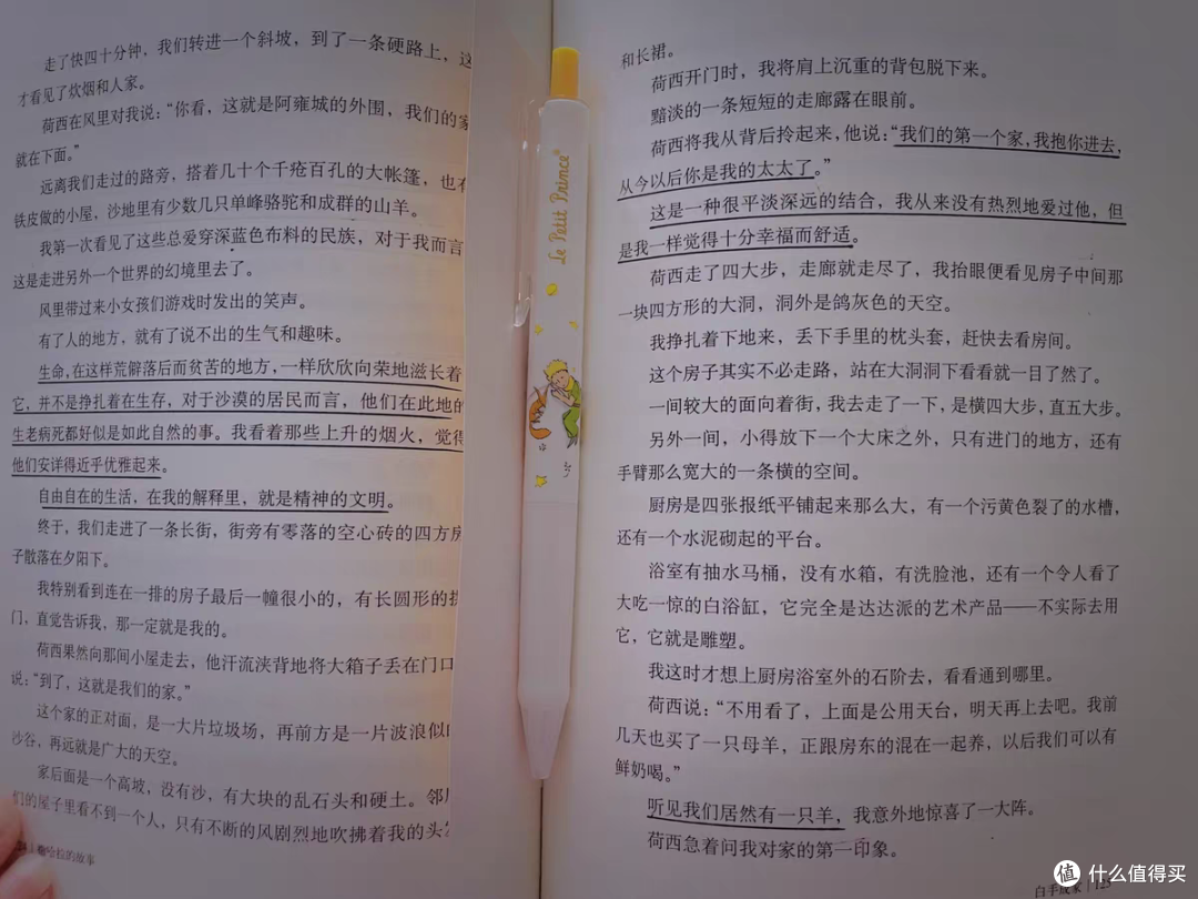 推荐一本种草好书《撒哈拉的故事》