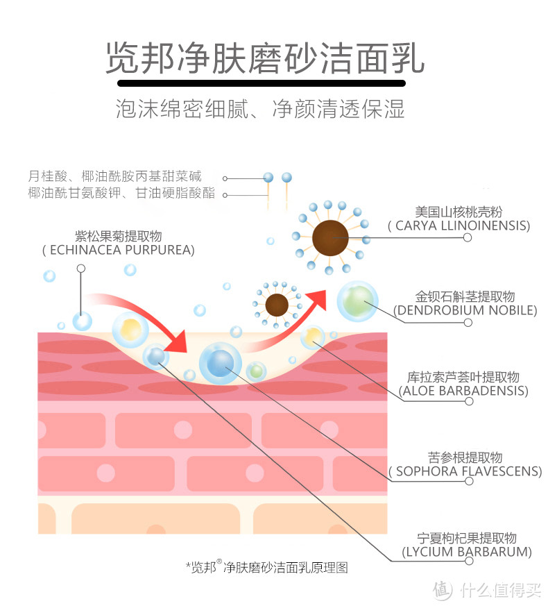 用法多样的览邦净肤磨砂洁面乳,能够满足用户们的诸多不同的需求