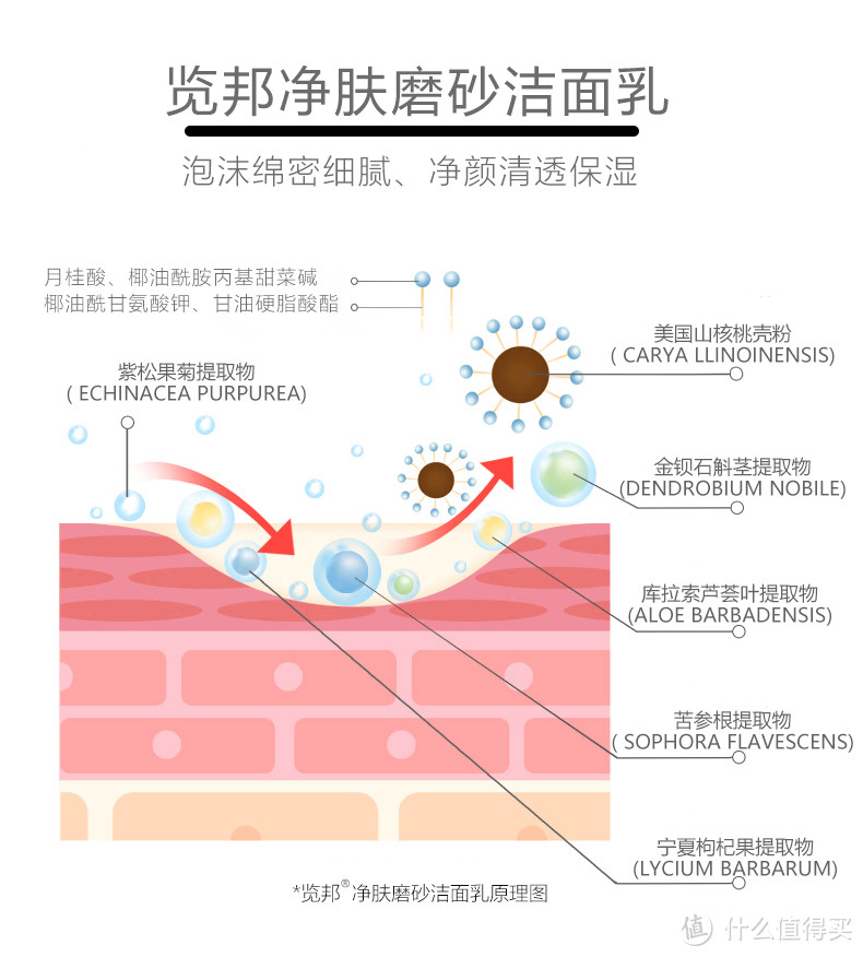 用法多样的览邦净肤磨砂洁面乳，能够满足用户们的诸多不同的需求