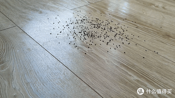 人人都夸芙万好？添可芙万3.0代真的那么好么？