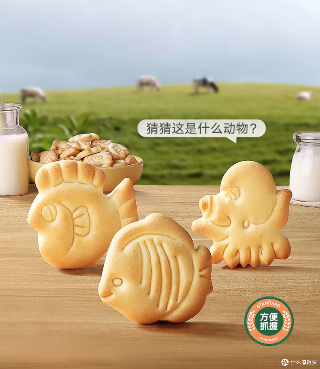 逛公园，去郊区，夏季宝宝外出需做好的注意事项