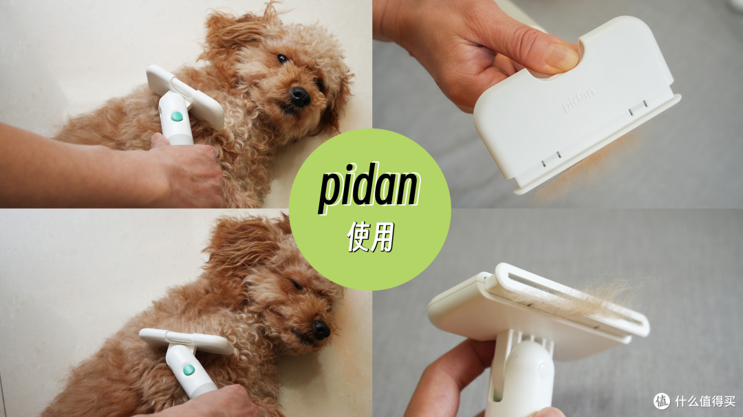 pidan使用