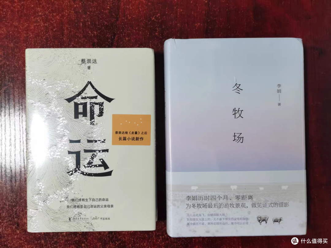 读书感想之《冬牧场》