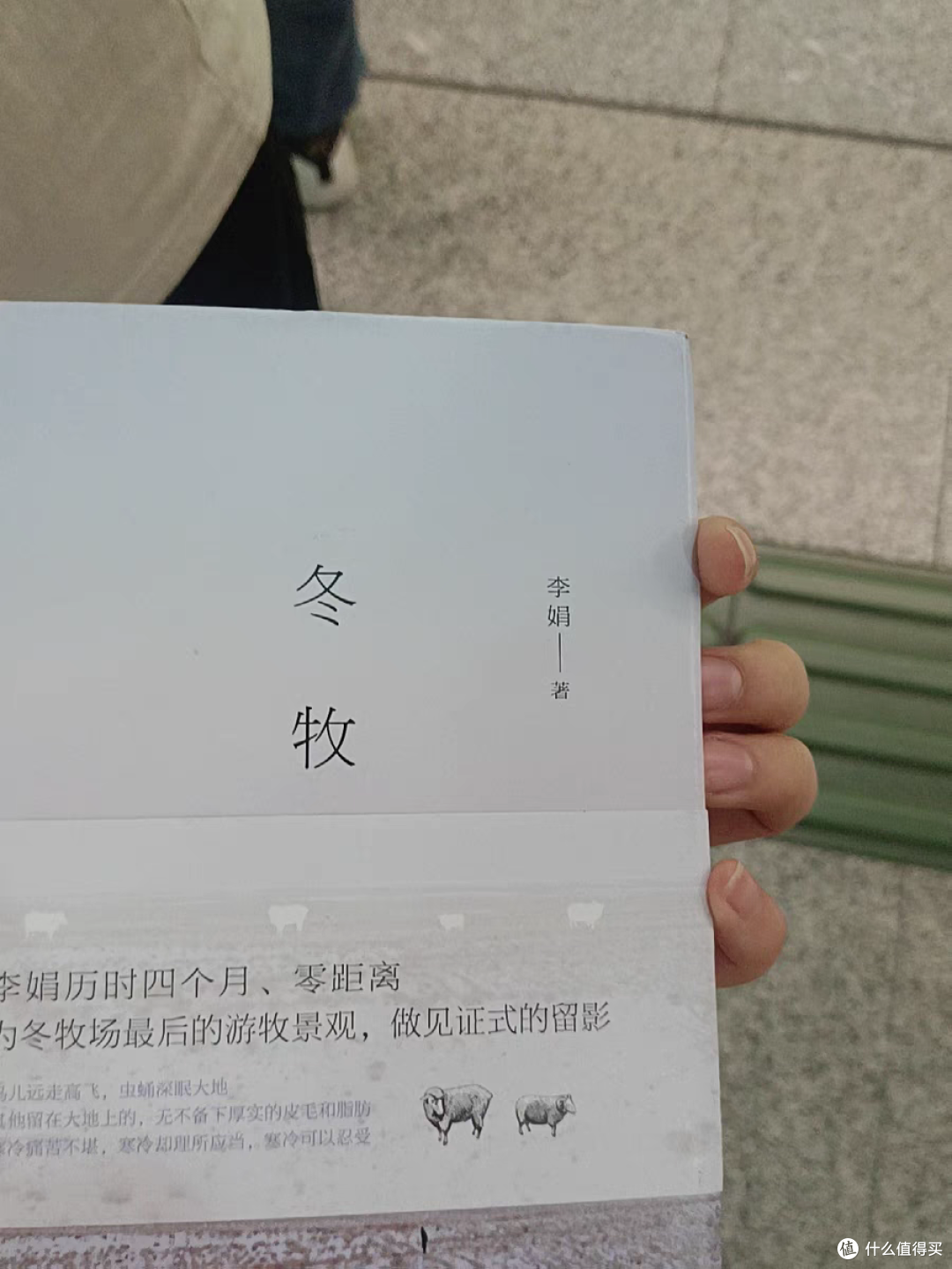 读书感想之《冬牧场》